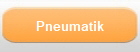 Pneumatik